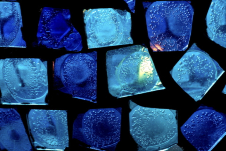 Catholic Poetry Room stained glass