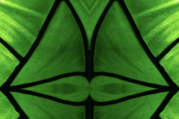 Catholic Poetry Room stained glass